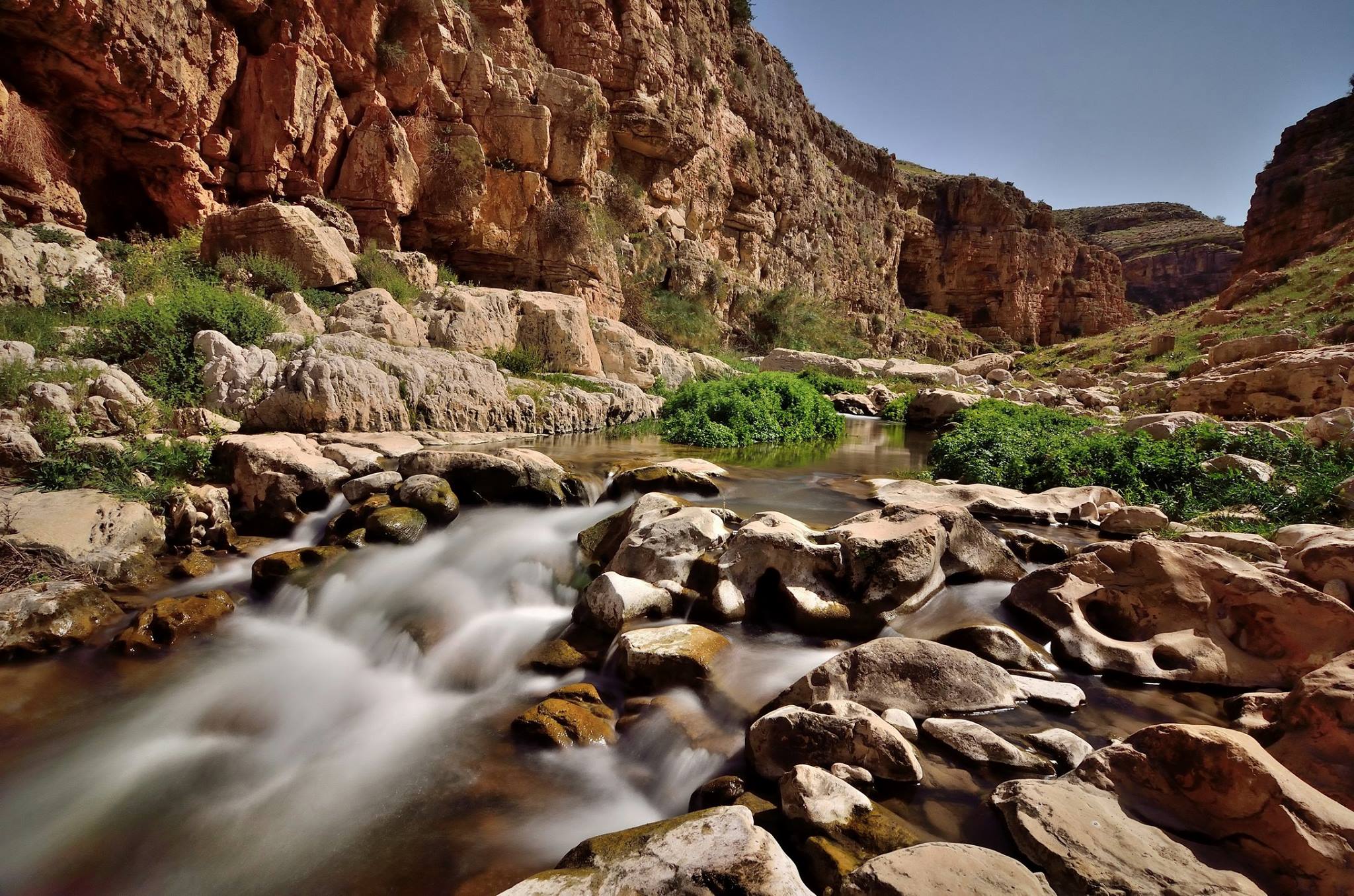 محمية وادي الجمال